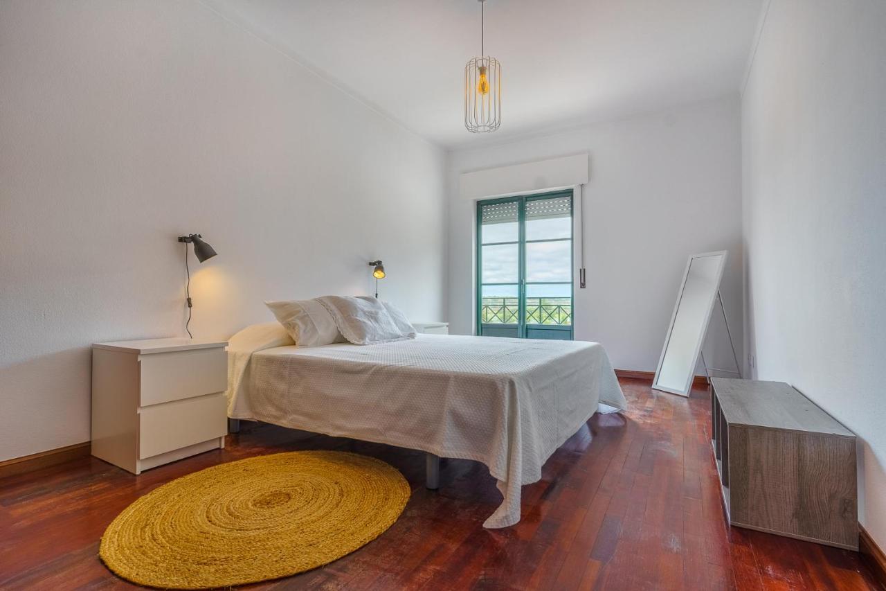 Santa Luzia Apartment Alcacer do Sal Bagian luar foto