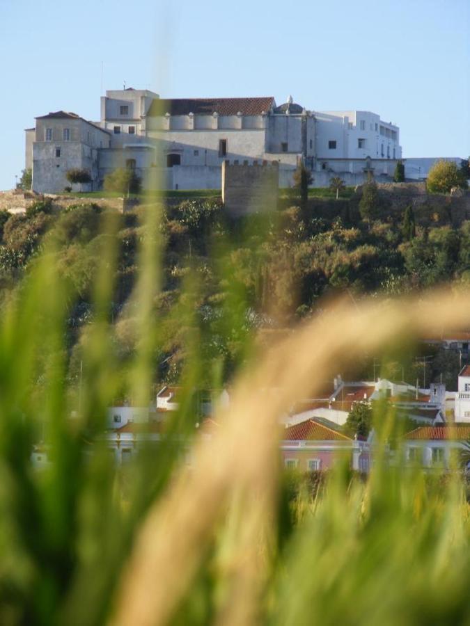 Santa Luzia Apartment Alcacer do Sal Bagian luar foto